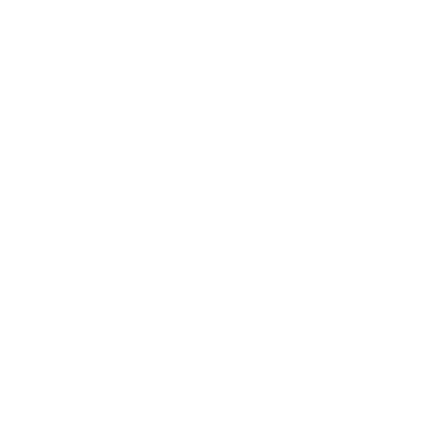 Official Website of Adam Borics